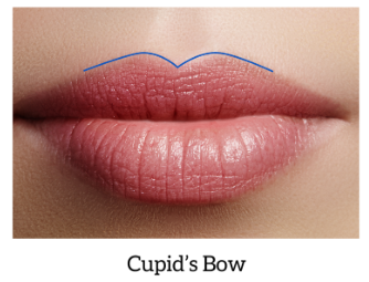 bow lips shape